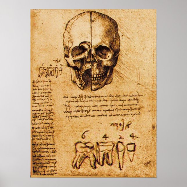 SKULL AND TEETH ,DENTAL CLINIC ,DENTIST POSTER (Front)