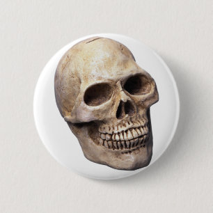 Skull bone 2 inch round button