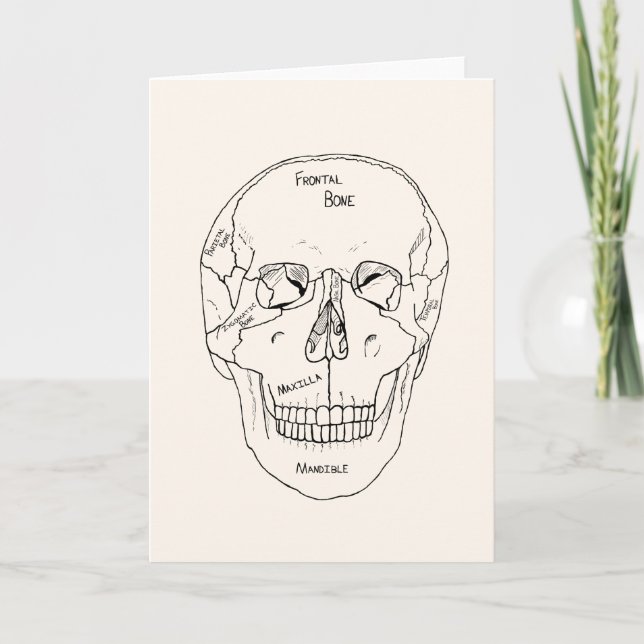 Skull Bones - Labelled Card (Front)
