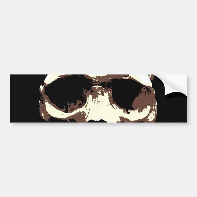 Skull Bumper Sticker (Front)