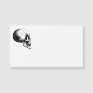 Skull Business Cards