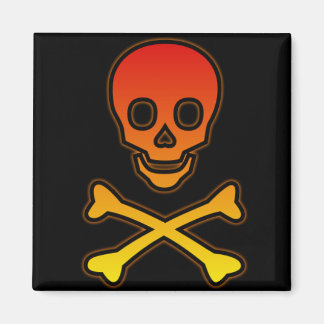 Skull/Crossbones Magnet