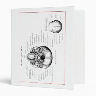 Skull details above and below binder