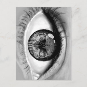 Skull eye double vision postcard
