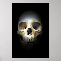 Skull Fantasy Art Rock Punk Heavy Metal