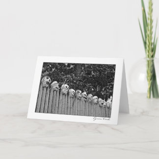 Skull Fence Card