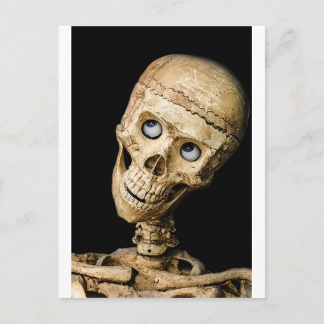 skull halloween people mask dummy scary holidays holiday postcard (Front)