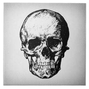 Skull Illustration Vintage Art Tile