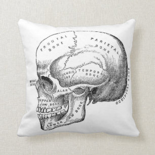 Skull Illustration Vintage Skeleton Pillow