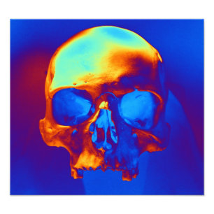 Skull in Blue and Gold Photo Print