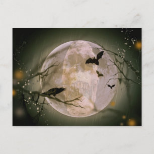Skull in Full Moon Postcard