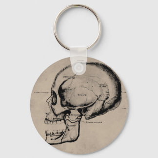 Skull keychain
