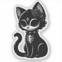 Skull Kitty