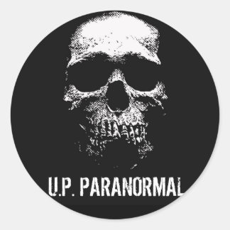 SKULL LOGO - STICKER SHEET