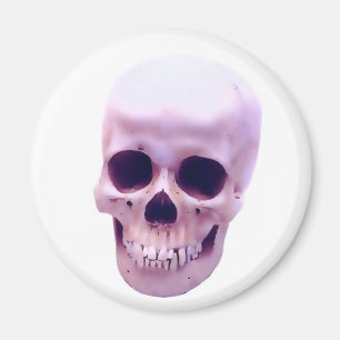 Skull Magnet