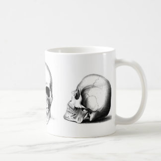 Skull mug
