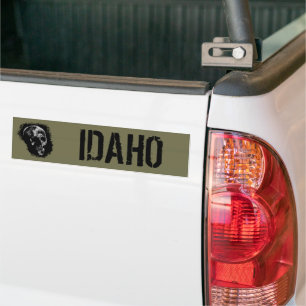 SKULL OF IDAHO BUMPER STICKER