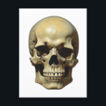 Skull Oil Painting Style Painting Illustration Postcard<br><div class="desc">Fantasy Rock Punk Heavy Metal Art - Blue Skull Skeleton - Digital Fantasy Art</div>