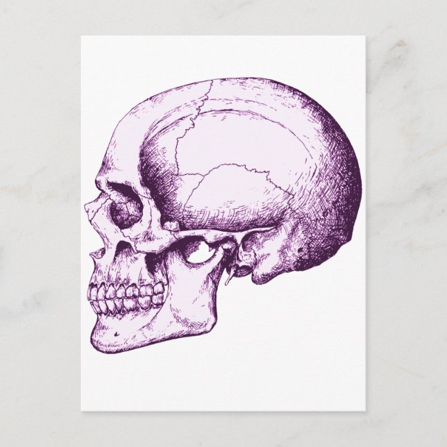 Skull Postcard (Front)