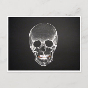 skull postcard