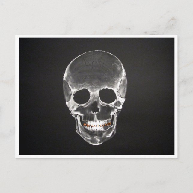 skull postcard (Front)