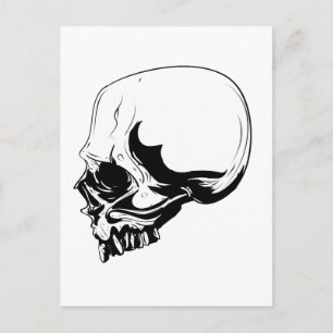 Skull Postcard