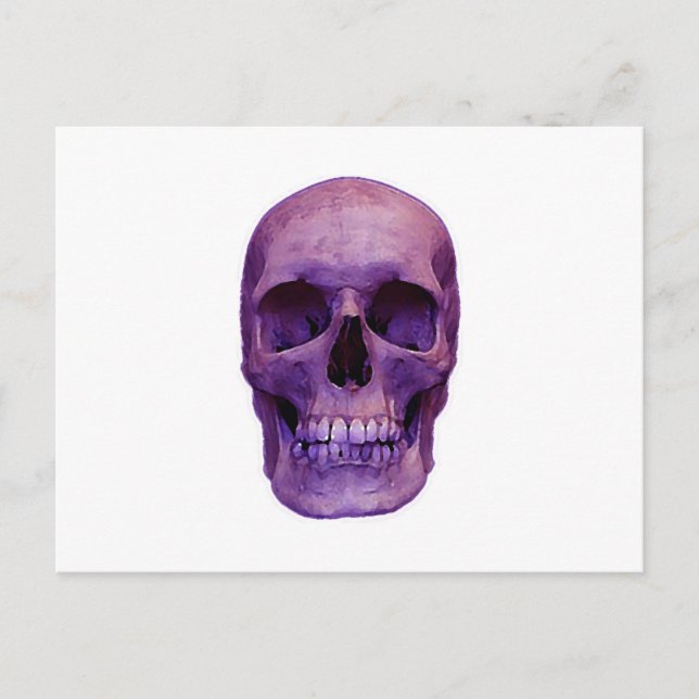 Skull Postcard (Front)