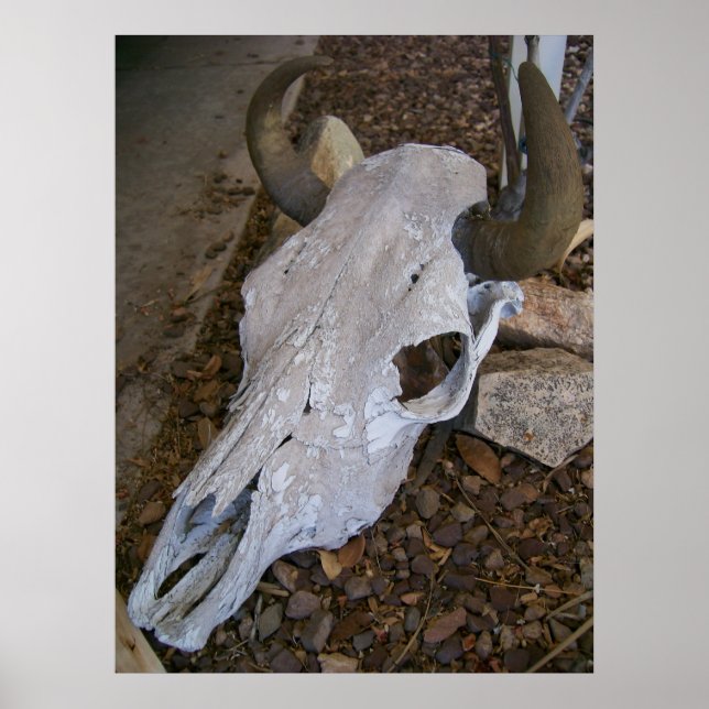 Skull Poster (Front)