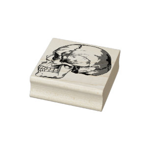Skull profile illustration art stamp