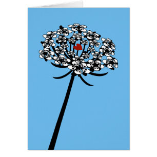 Skull Queen Anne's Lace