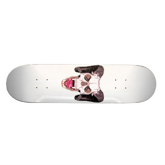 Skull skateboard