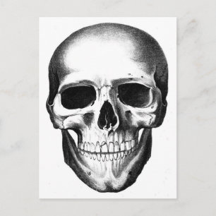 Skull Skeleton Head Scary Creepy Halloween Postcard