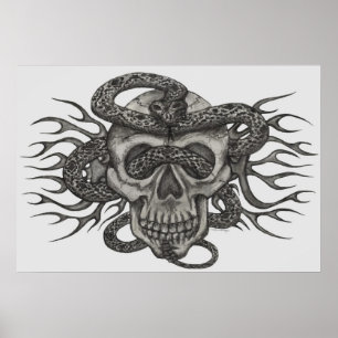 skull & snake poster
