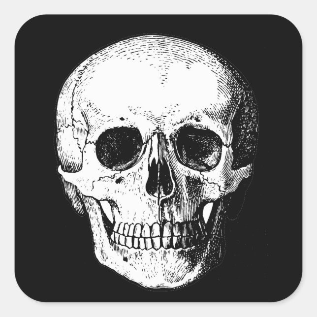 Skull stickers (Front)