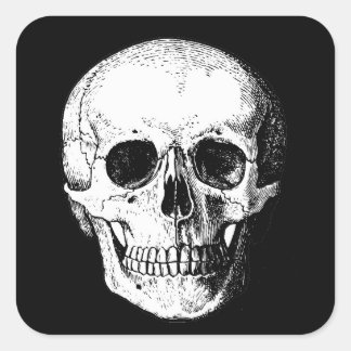 Skull stickers