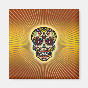 skull-strahlen.png magnet