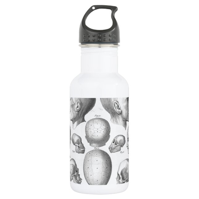 Skull Types 532 Ml Water Bottle (Front)
