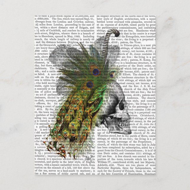 Skull With Feather Headress Postcard (Front)