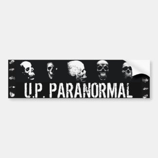 Skulls - Bumper Sticker