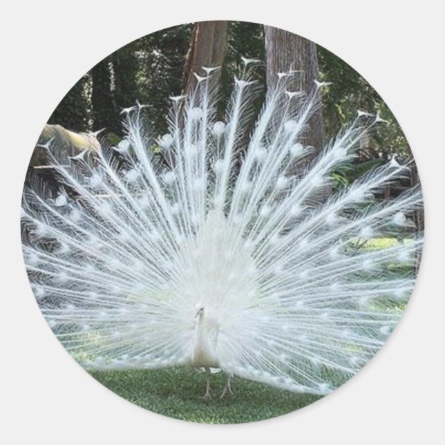 Skully Top Fun Classic Round Sticker (Front)