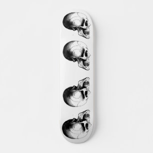 Skuls Skateboard
