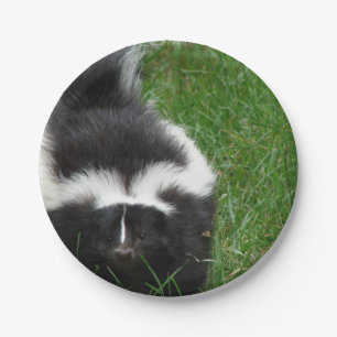skunk-2 paper plate