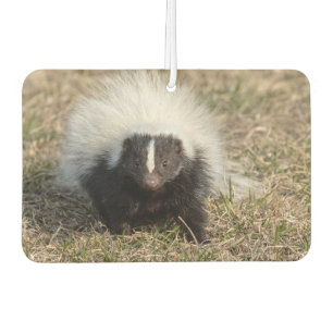 Skunk Air Freshener