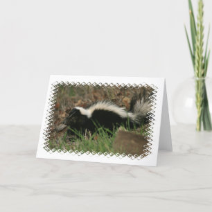 Skunk Behaviour  Greeting Card