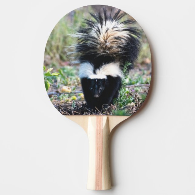 Skunk Black and White Ping Pong Paddle (Front)