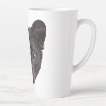 Skunk Face Portrait Cute Blue Eyes |