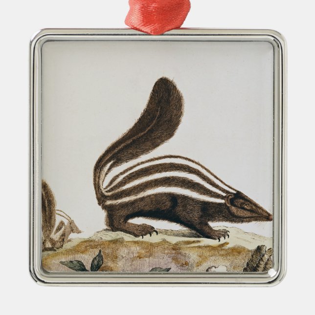 Skunk, from 'Histoire Naturelle' by Metal Ornament (Front)