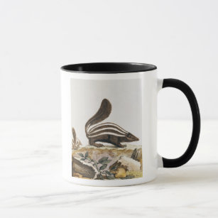 Skunk, from 'Histoire Naturelle' by Mug