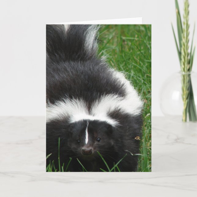 Skunk Greeting Card (Front)