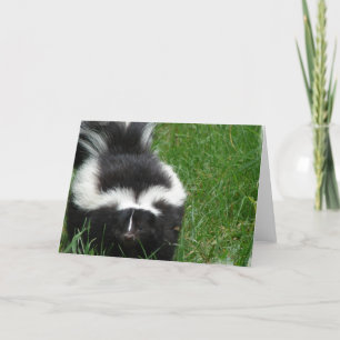 Skunk Greeting Card